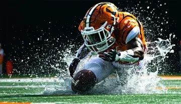 Tigers' Parker Meadows hospitalized after frightening head-on collision with teammate Riley Greene